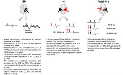 Remodeling Functional Connectivity in Multiple Sclerosis: A Challenging Therapeutic Approach